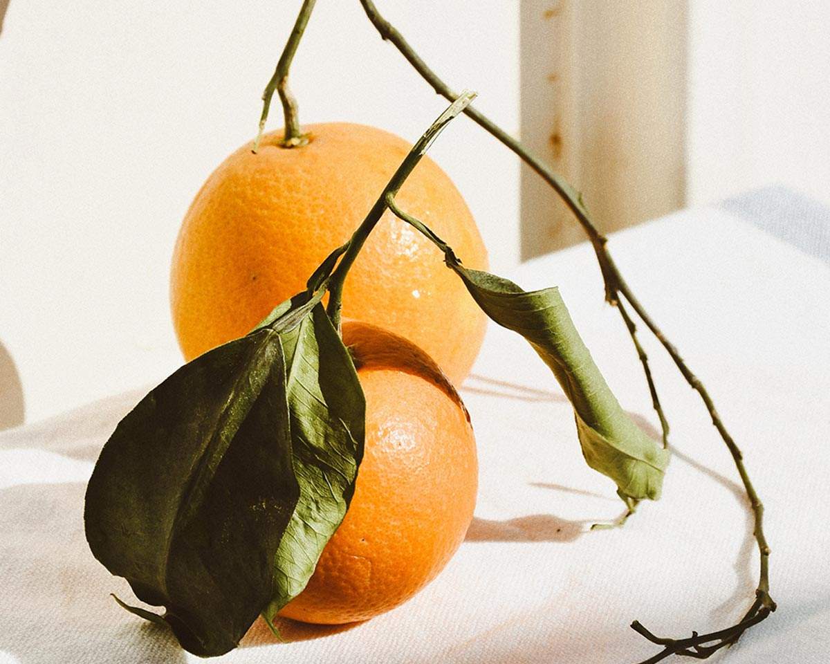 The Good Shit Orange-Zitrone: Orangenbaum